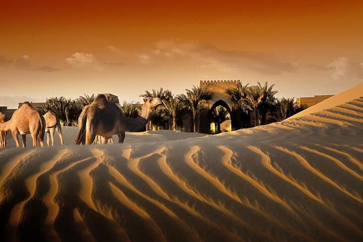 Bab al Shams Dinner with Desert Safari