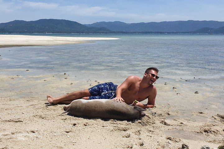 Demi-journée sur l'île aux cochons et plongée en apnée