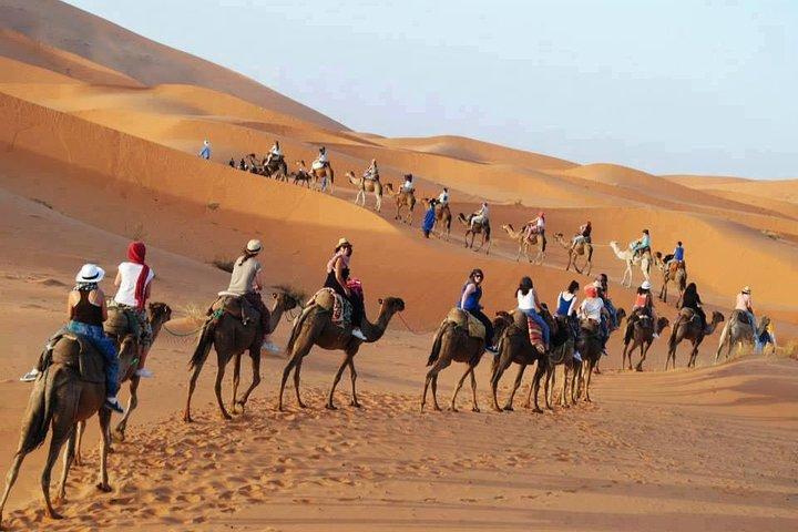 Marrakech och Atlantkusten