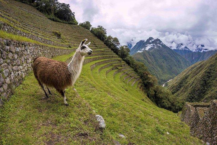 Inca Trail Trek à Machu Picchu - 2 jours (visite privée)