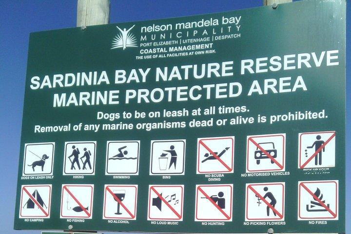 Passeggiata marina guidata: Baia della Sardegna (area marina protetta) - 1 ora e mezza