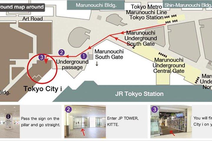 東京発新幹線で行く英語ガイド付き京都1日ツアー