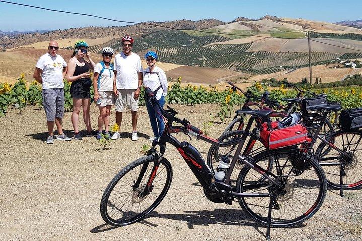 Wine & Tapas tour per elektrische fiets (e-bike) inclusief Ronda pick-up (halve dag)