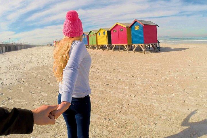 Visite d'une journée à Cape Point avec les pingouins de Boulder
