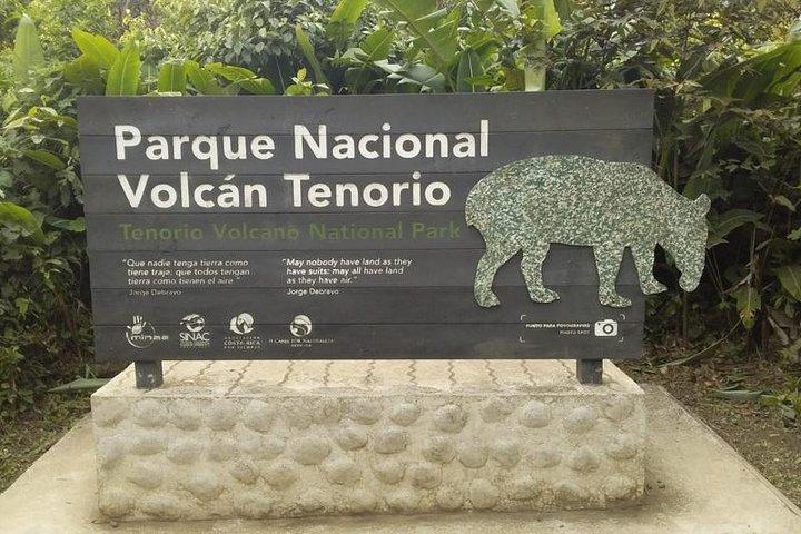 Tour premium: bradipi e cascate del Río Celeste y Cortez (Parco del vulcano Tenorio)