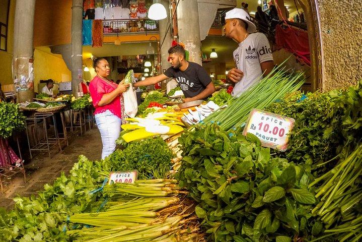 Tour della città di Mauritius, gita di un giorno ALL INCLUSIVE, SUV privato con guida