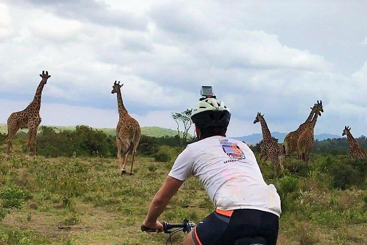 1 Tag Wandern und Fahrrad Safari im Arusha National Park