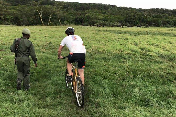 1 Tag Wandern und Fahrrad Safari im Arusha National Park