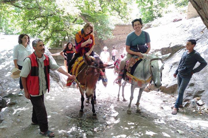 From Marrakech: Atlas Mountains Full-Day Hiking Trip