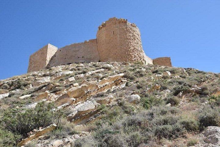 Private Transfers Between Amman, Airport and Petra