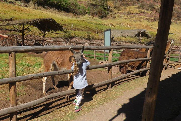 マチュピチュと聖なる谷へのツアー2日間