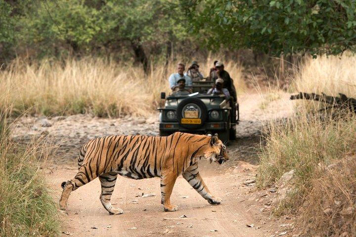 Circuit du Triangle d'Or de 8 jours avec Ranthambore et Udaipur