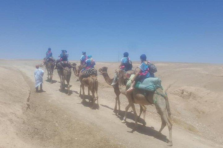 Sunset camel ride Agafay desert Marrakech