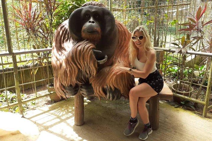 Excursion d'une journée sur l'île d'Orang Utan et le patrimoine de Taiping au départ de Kuala Lumpur