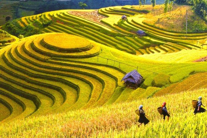 Group tour Sapa 2 days 1 night staying at homestay depart from Hanoi by bus