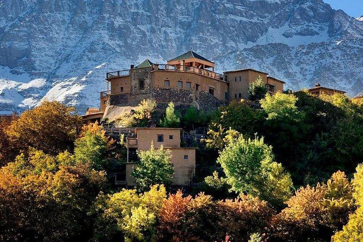Atlas Mountains and Three Valleys & Waterfalls: Guided Day Trip from Marrakech