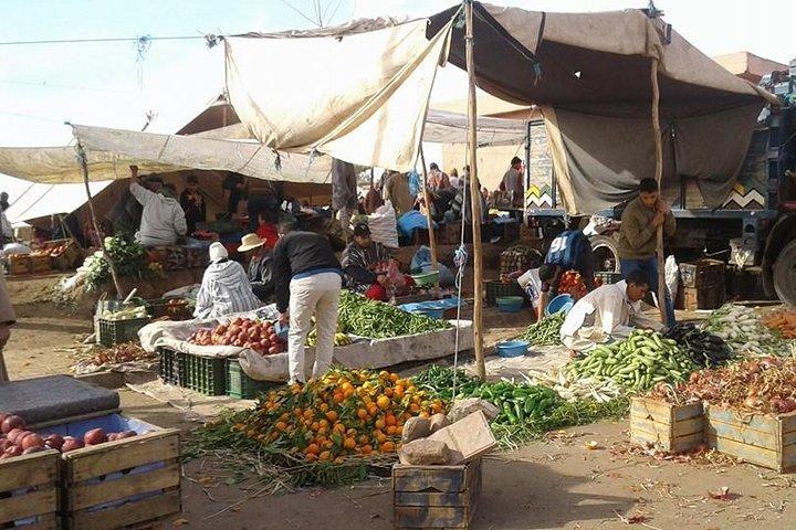 dagstur till ourika dalen och atlasbergen från marrakech