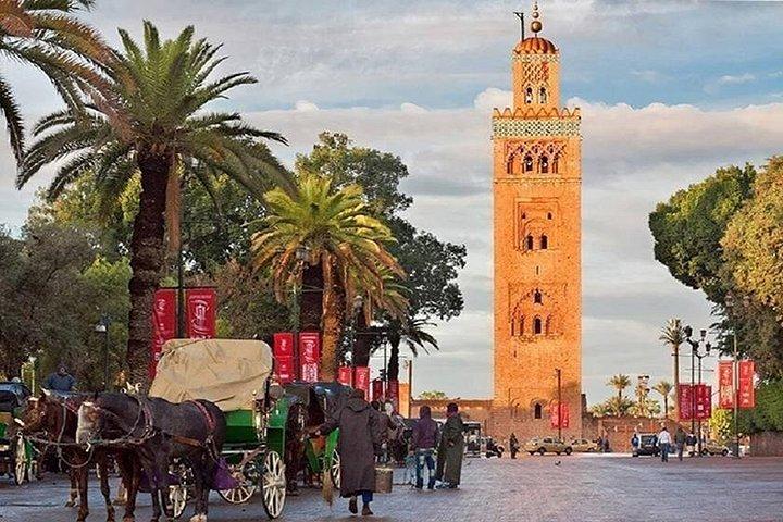 Viagem de um dia a Agadir para Marrakech