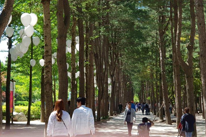 ナミ島とプチフランス - 撮影場所