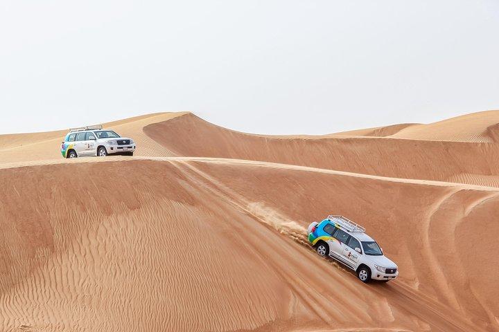 Sunrise Desert Safari mit Wildlife Experience ab Dubai