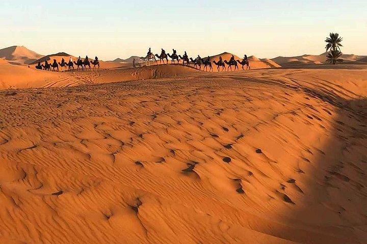 Tour nel deserto condiviso di gruppo da Marrakech a Fes 3 giorni
