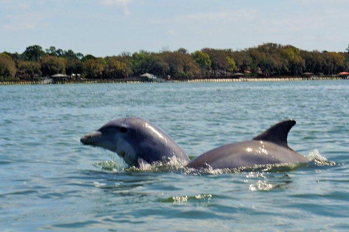 2-timers privat Hilton Head Dolphin Watching Cruise