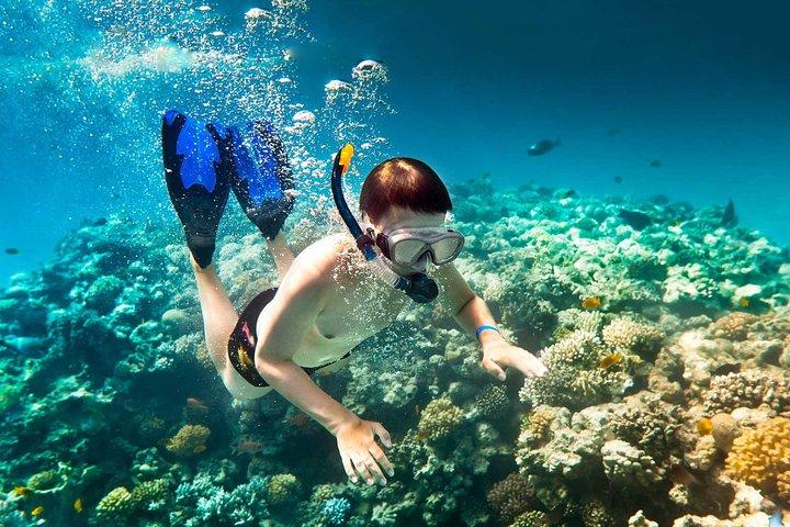 Roatan Parasailing, Reef Snorkel & Beach Combo