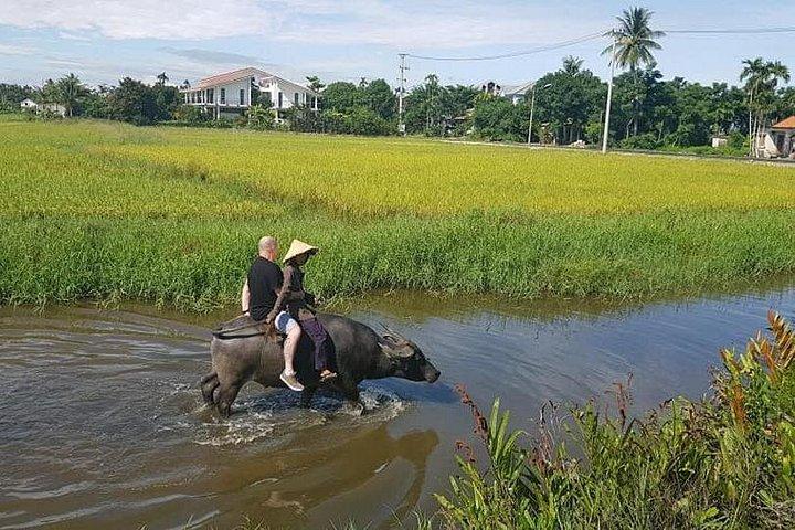ホイアンの田園地帯とフットマッサージを訪問するTIEN SA港からのクルーズ旅行
