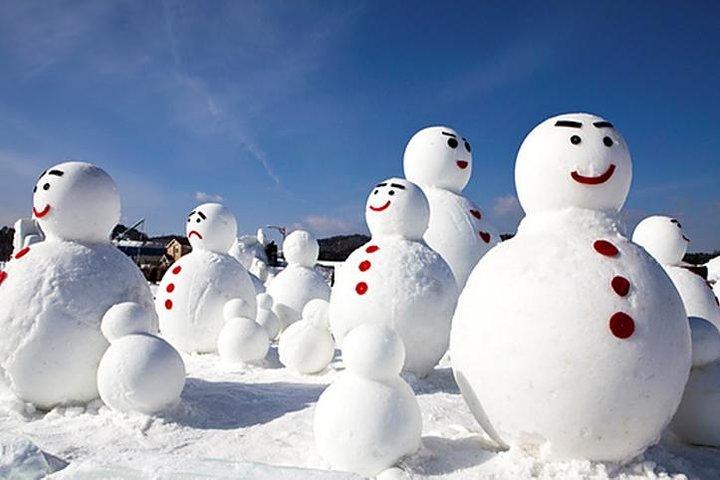 Excursión privada de invierno de 3 días a Corea a Nami, Ski Resort y Ice Fishing Festival