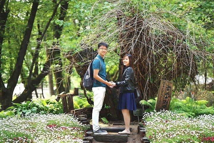 Vår 3 dagar Seoul & Mt Seorak Körsbärsblomning med Nami Island den 7-14 april
