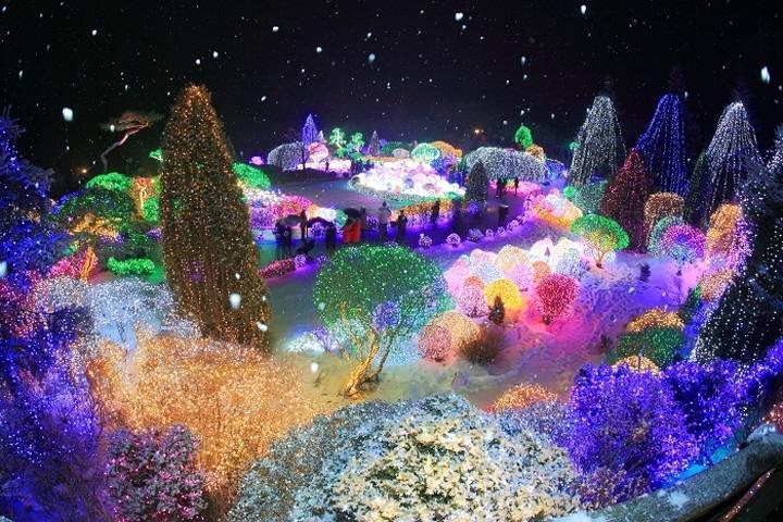 Excursión privada de invierno de 3 días a Corea a Nami, Ski Resort y Ice Fishing Festival