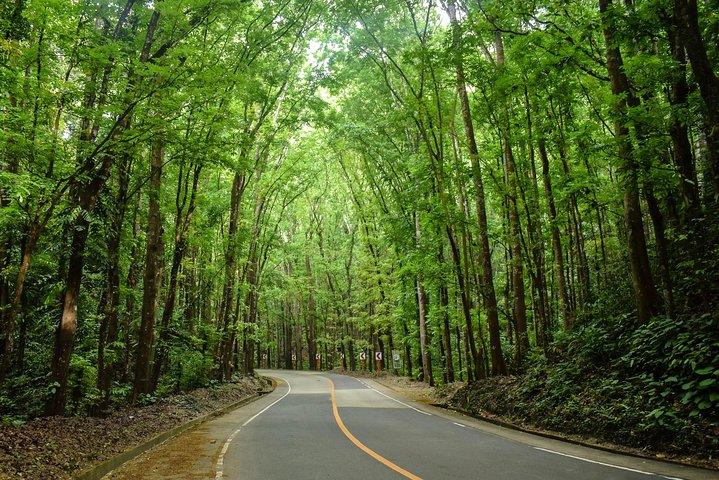 セブシティまたはマクタンからのボホール田舎日帰りツアー-ベストセラー