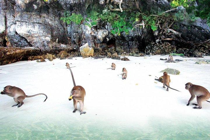 Lancha rápida VIP privada a las islas Phi Phi y Bamboo