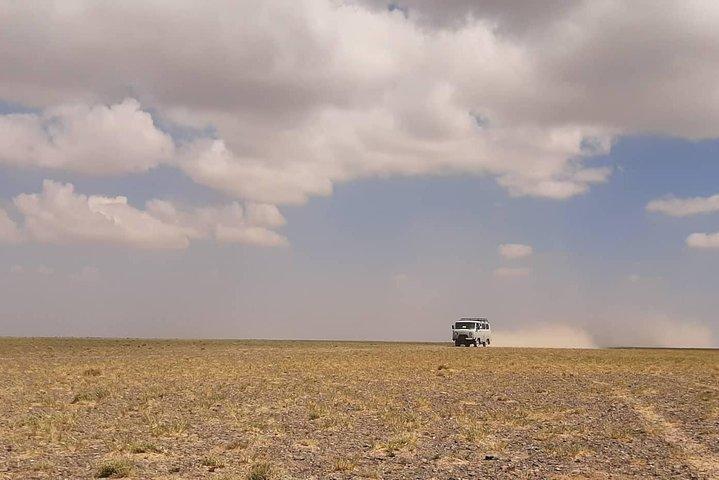 ゴビと草原のモンゴル 7N8D