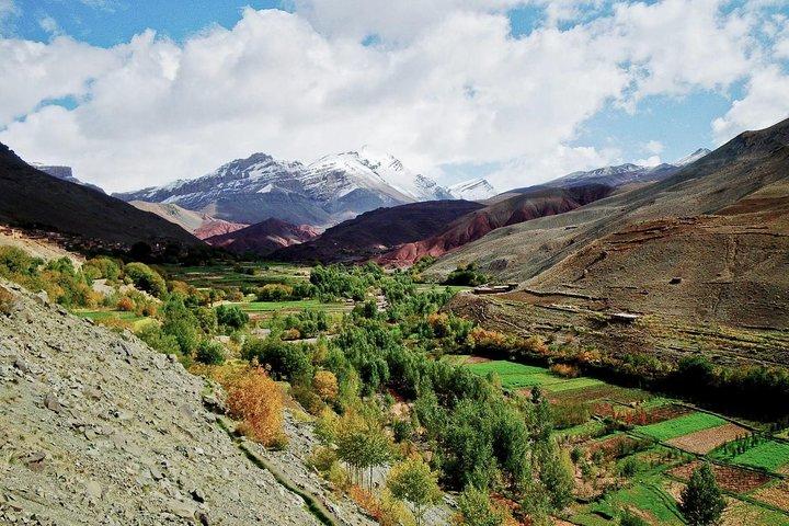 Private Day Trip to Ourika Valley from Marrakech