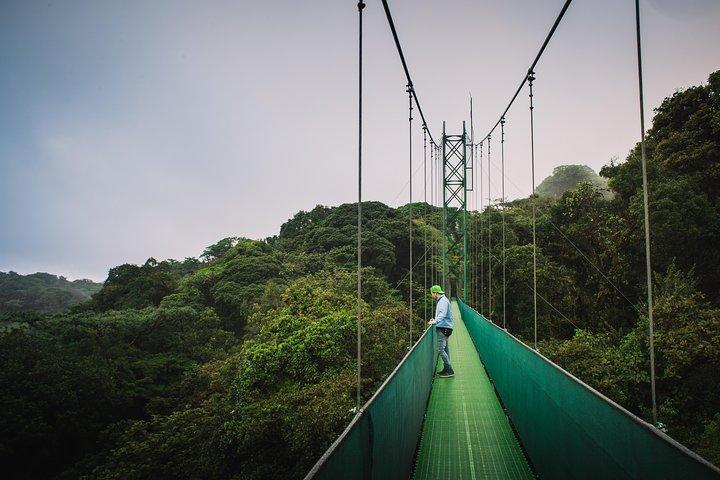 Sky Walk From Monteverde