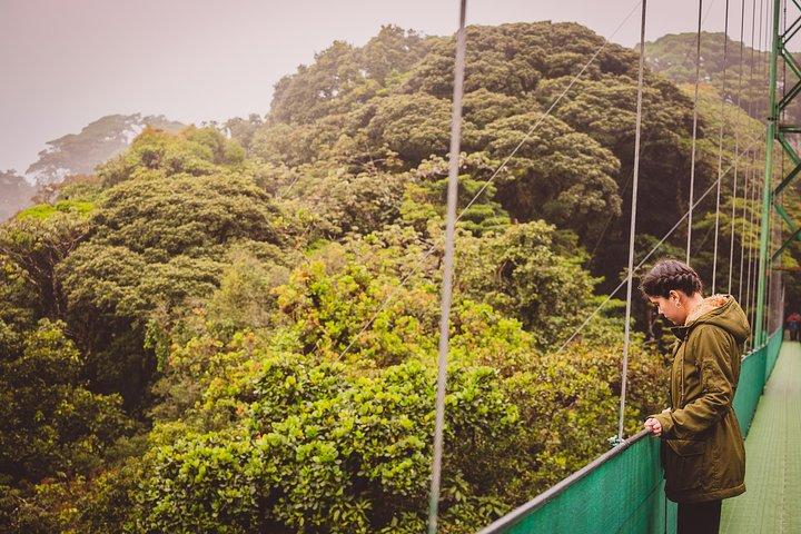 Sky Walk From Monteverde