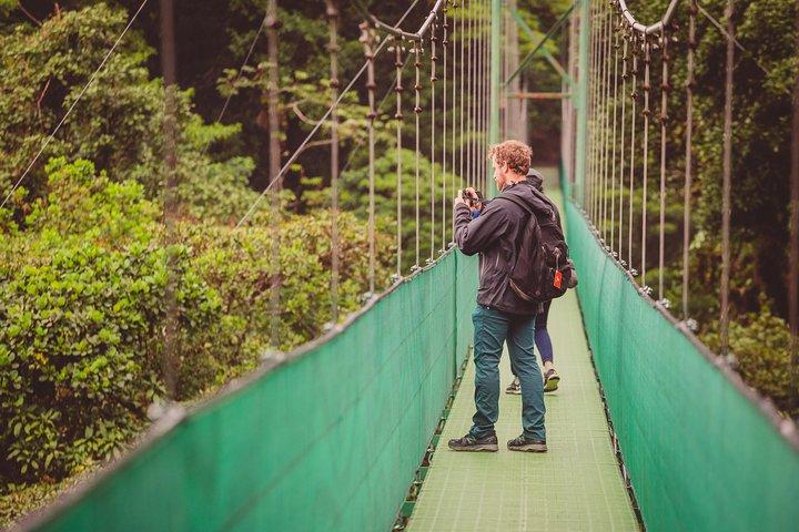 Sky Adventures Combo: Walk, Tram & Zipline from Monteverde