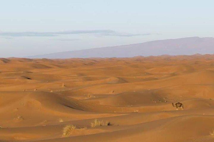 Tour nel deserto di 2 giorni / 1 notte da Mhamid a Erg Chigaga