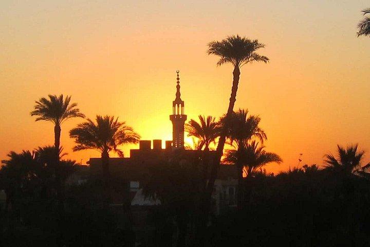 アスワンからは、朝から夕方までセーリングをするフルデイフェルッカをお楽しみください