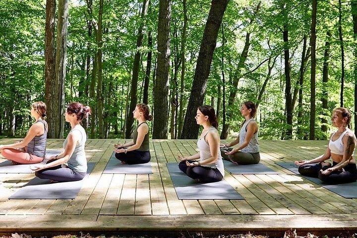 Yoga e meditazione vulcanica dell'Etna - Esperienza privata