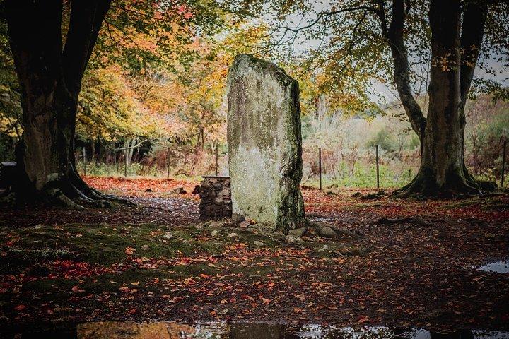 Glen Affric & Culloden Tour vanuit Inverness, inclusief toegang