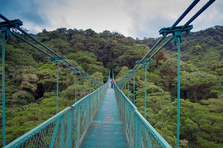 モンテベルデからの熱帯雨林の天蓋ジップラインと吊り橋ツアー