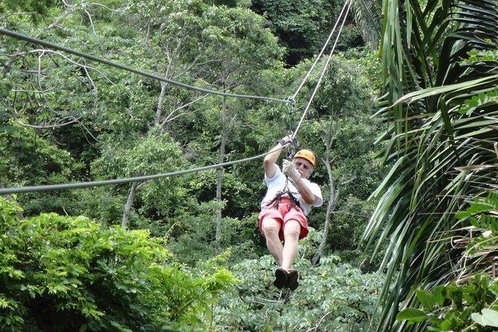 Roatan Excursion: Zip-Line with Sloths park