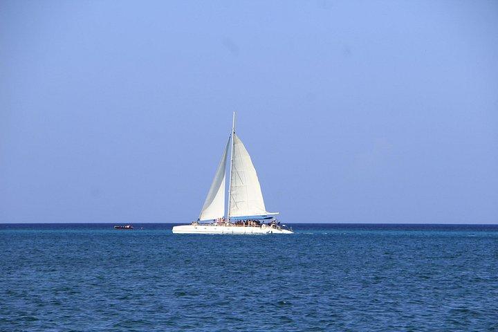 Saona Island Excursion From Punta Cana