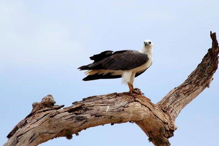 Hel dag privat safari på Yala National Park vid La Safari Inn Tours