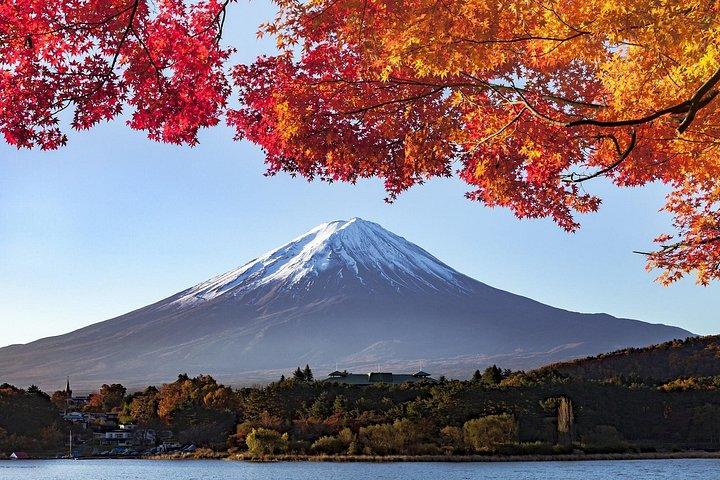 紅葉 富士山ビュー、五重塔と河口湖