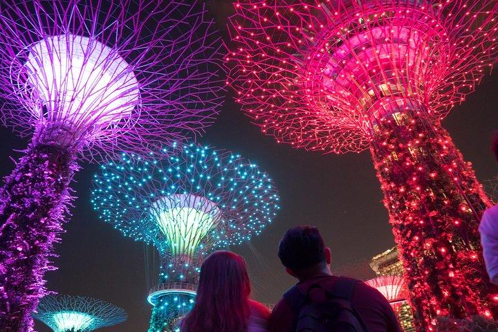 Tour notturno del Big Bus di Singapore con spettacolo di luci nei giardini della baia