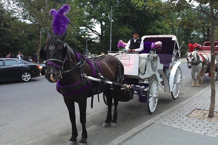 NYC Central Park Horse and Carriage Ride: Long Ride 45 min