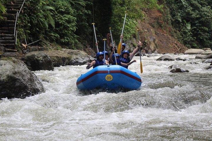 Bali Rafting en el río Ayung Ubud - (Privado y todo incluido)